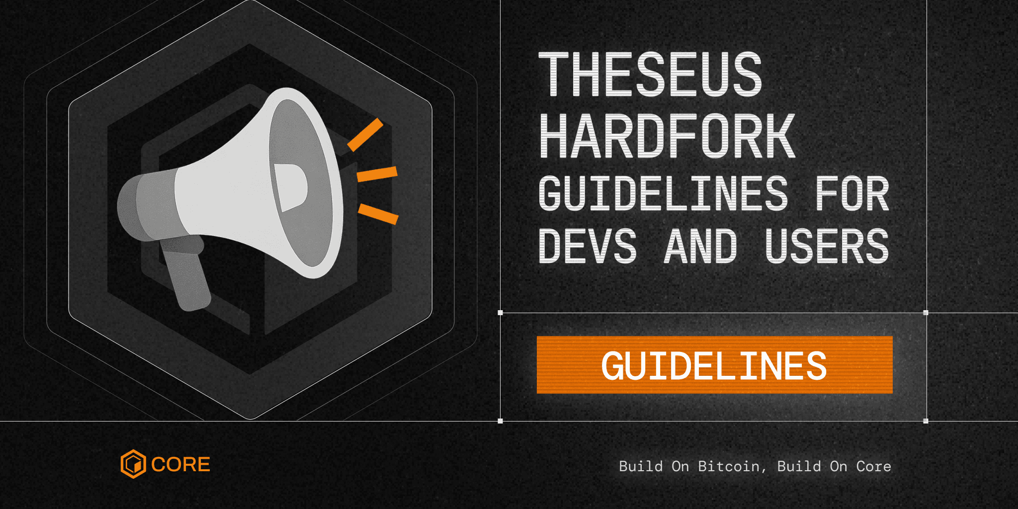 Theseus Hardfork: Guidelines for Developers and Users